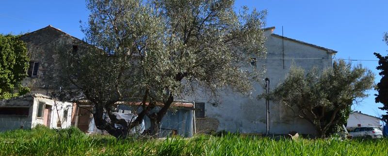 R52D_casolare_convento_mosciano_rosburgo_immobiliare_11