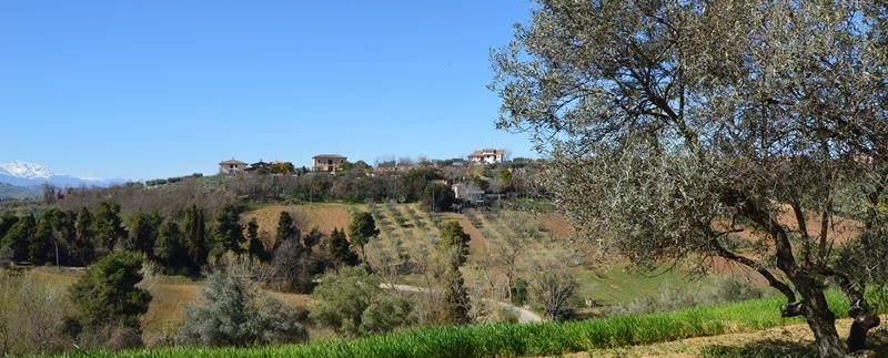 R52D_casolare_convento_mosciano_rosburgo_immobiliare_7