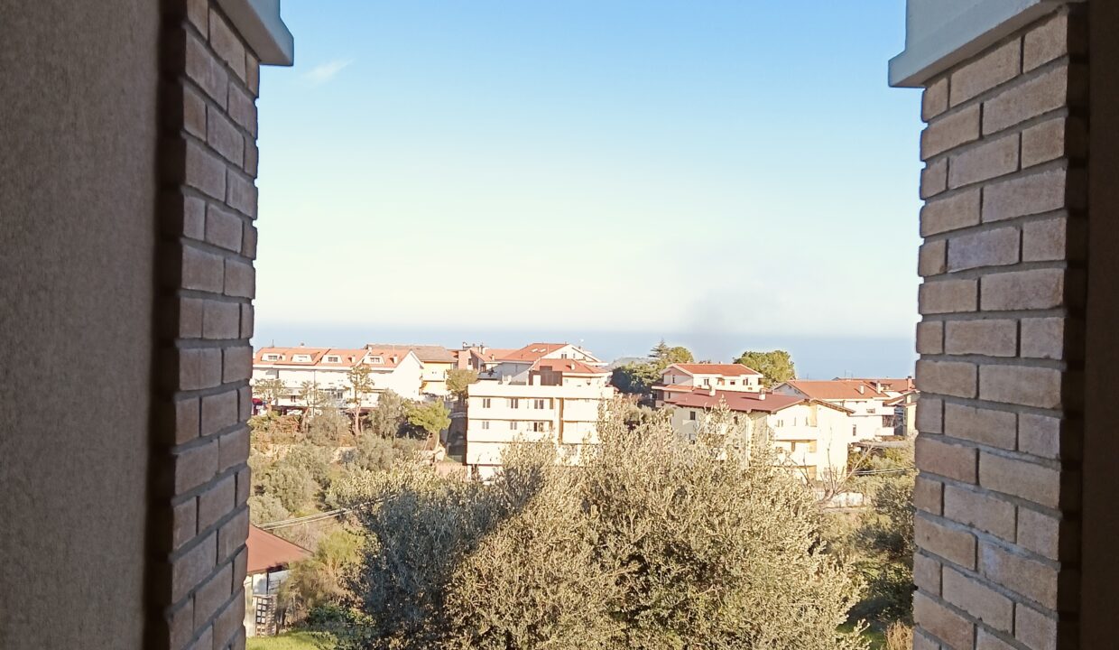 IMG20250206153457