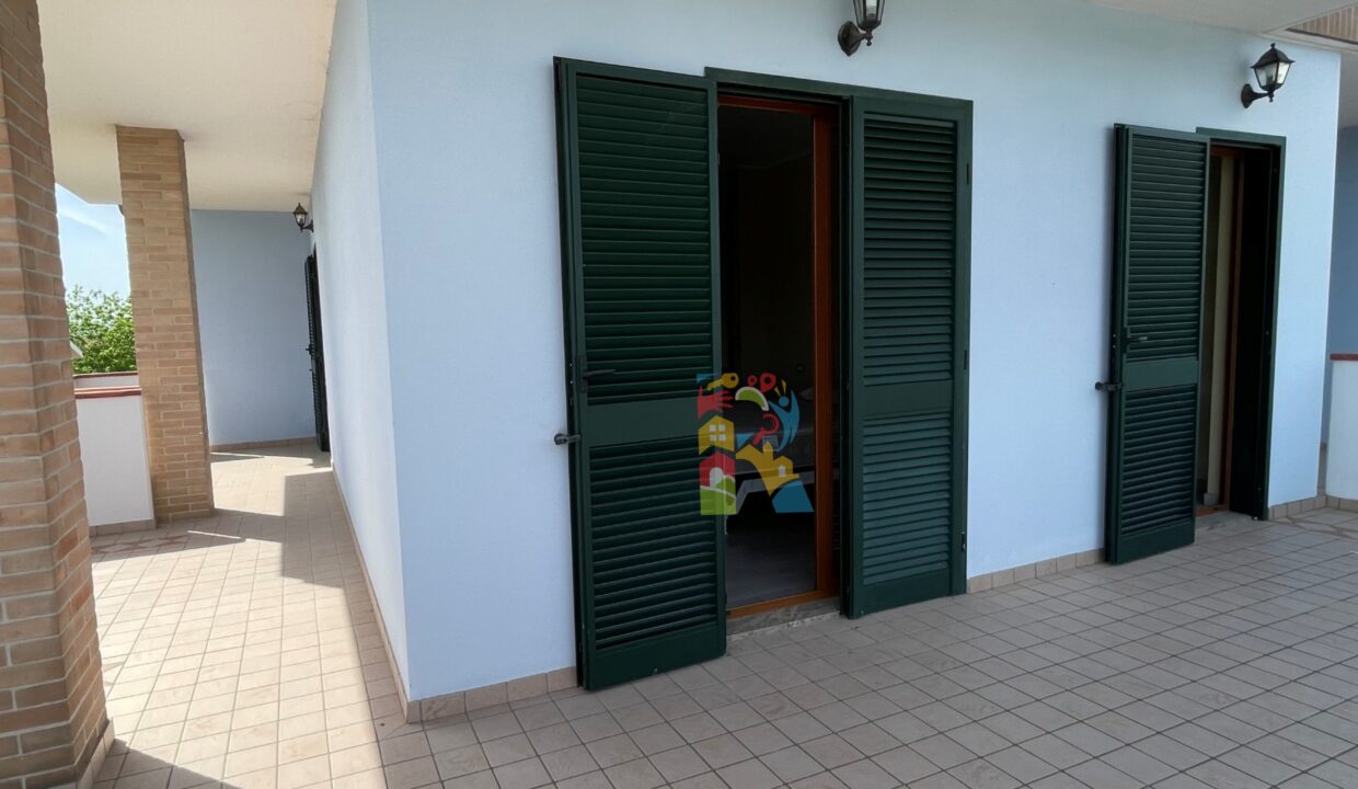 Sangiovanni_rosburgo10