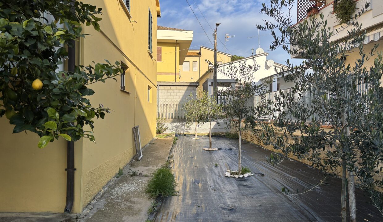 image00014