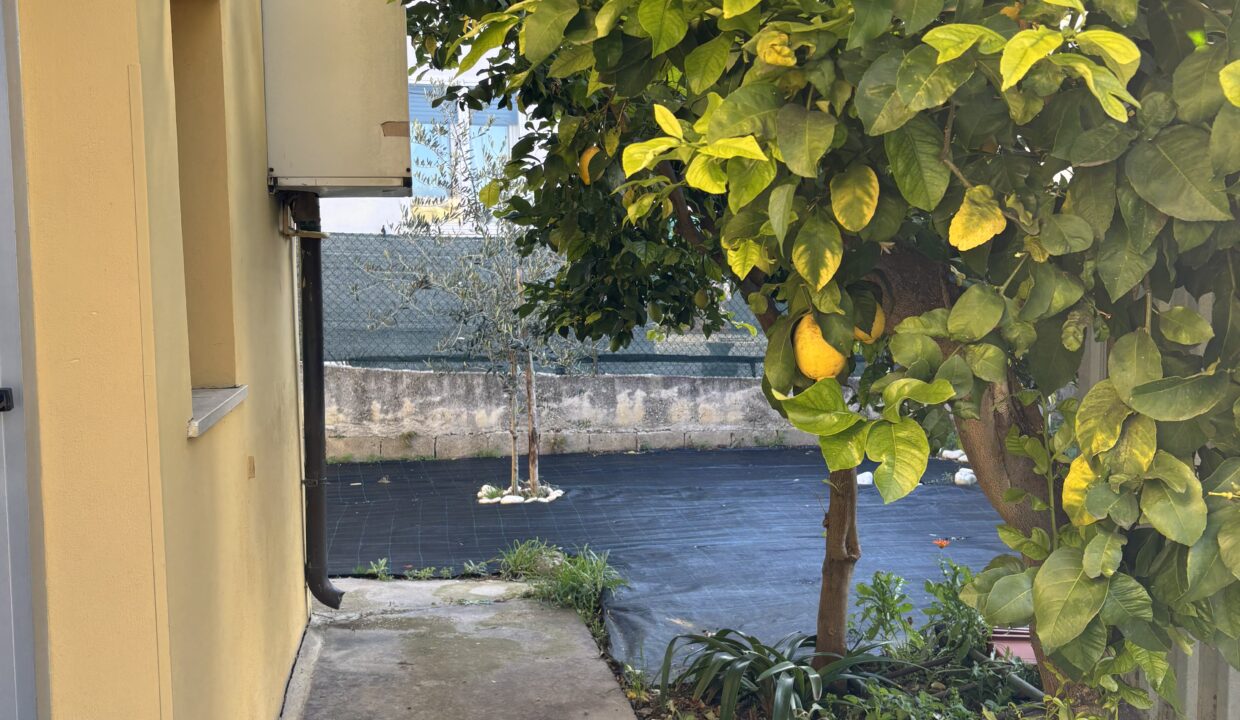 image00015