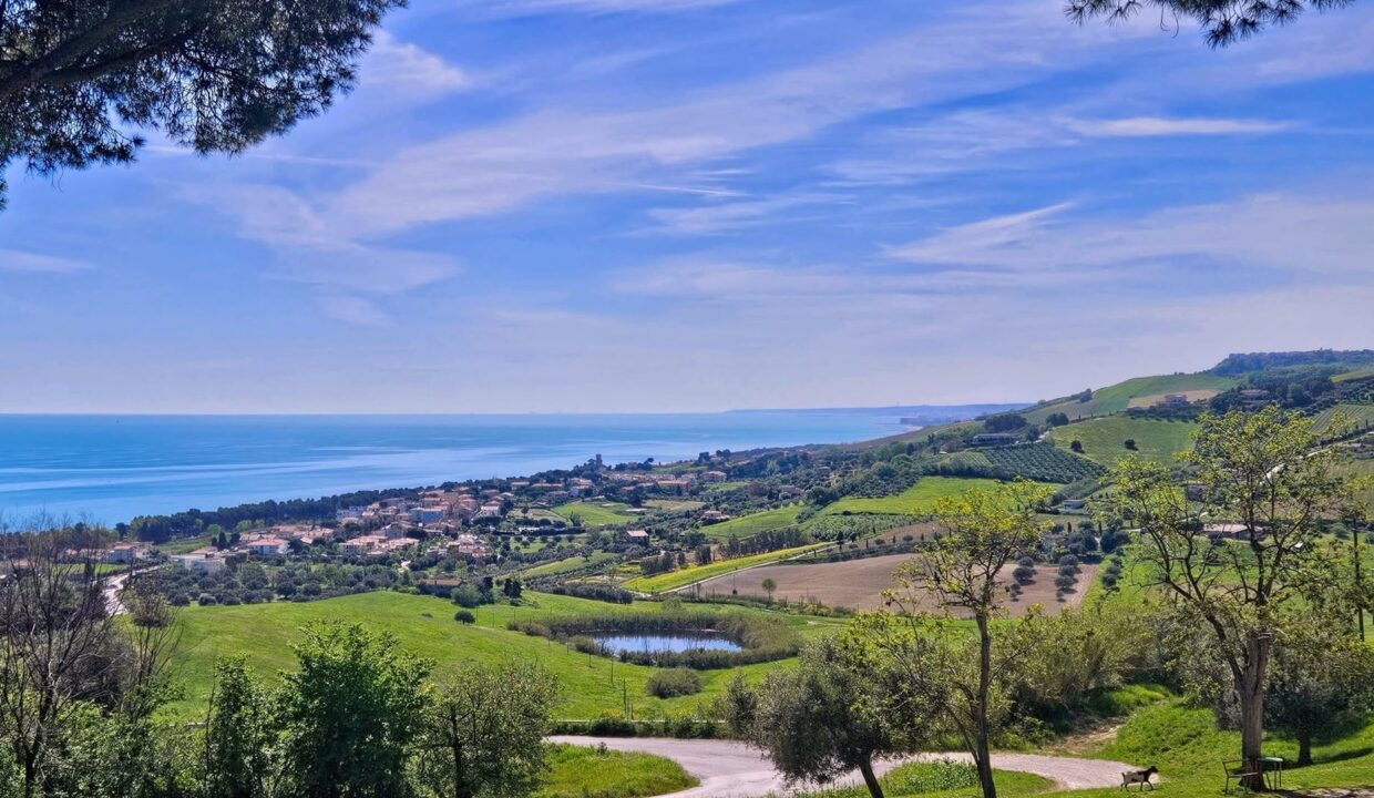 Vista collina